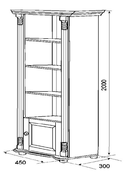 Шкаф книжный Балтика 19.1