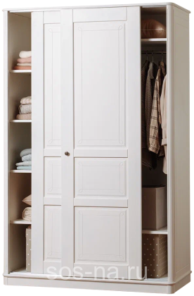 Шкаф-купе Бетти 2-ств №2