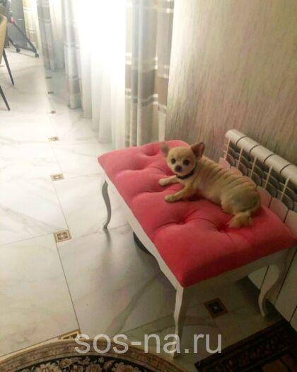 Банкетка Авиньон большая