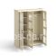 Шкаф "Ярви" 3-х створчатый со стеклом