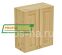 Шкаф настенный 2 двери (720) Profi&Hobby